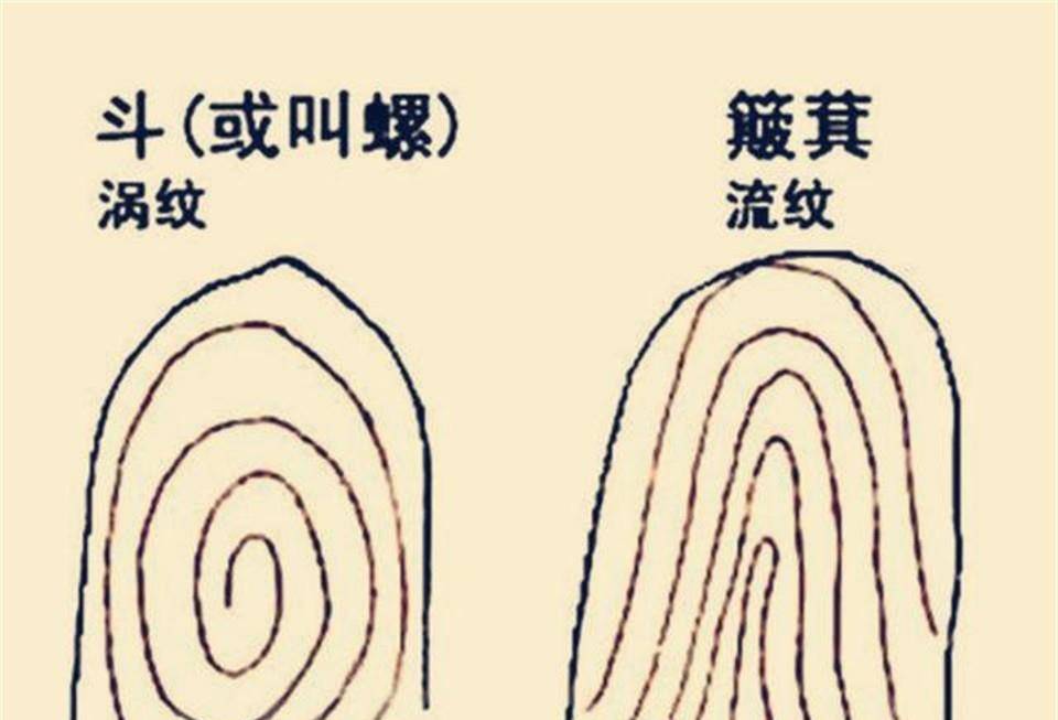 莱布尼茨说:"世界上没有两片完全相同的叶子",同样地,每个人的指纹