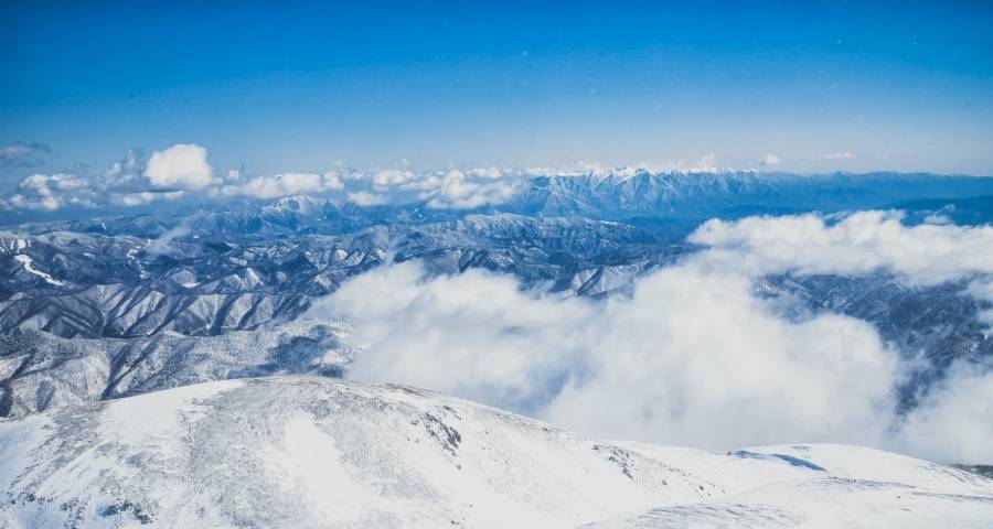 家电企业新年市场争夺战开工就开火-家电圈官网