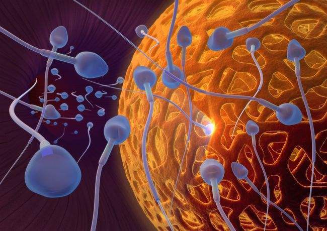 影响男性精子活力的因素有哪些 怎么提高受孕率