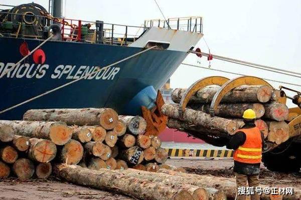 【正材网】进口原木破340万立方米，张家港木材商业飞跃