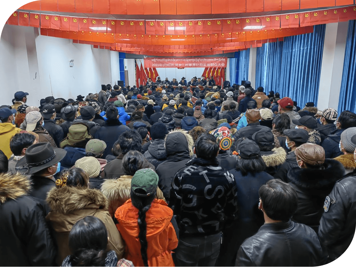 治多县治赛口前马赛村 希望格桑花绽放在每一个村民的心里_生态_扎河