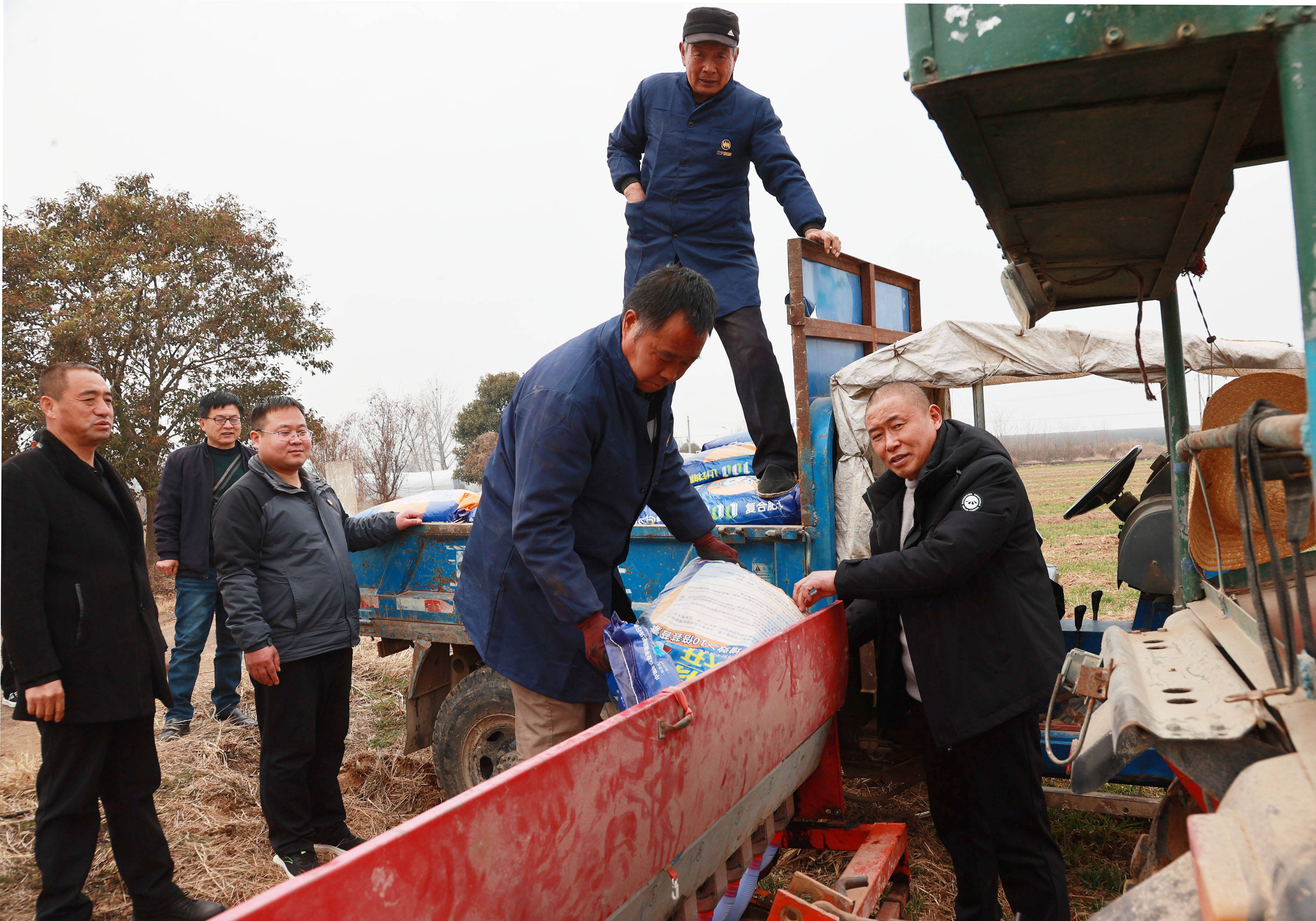 大荔县许庄镇党员干部深入高标准农田助春耕抓紧抓好粮食生产_小麦