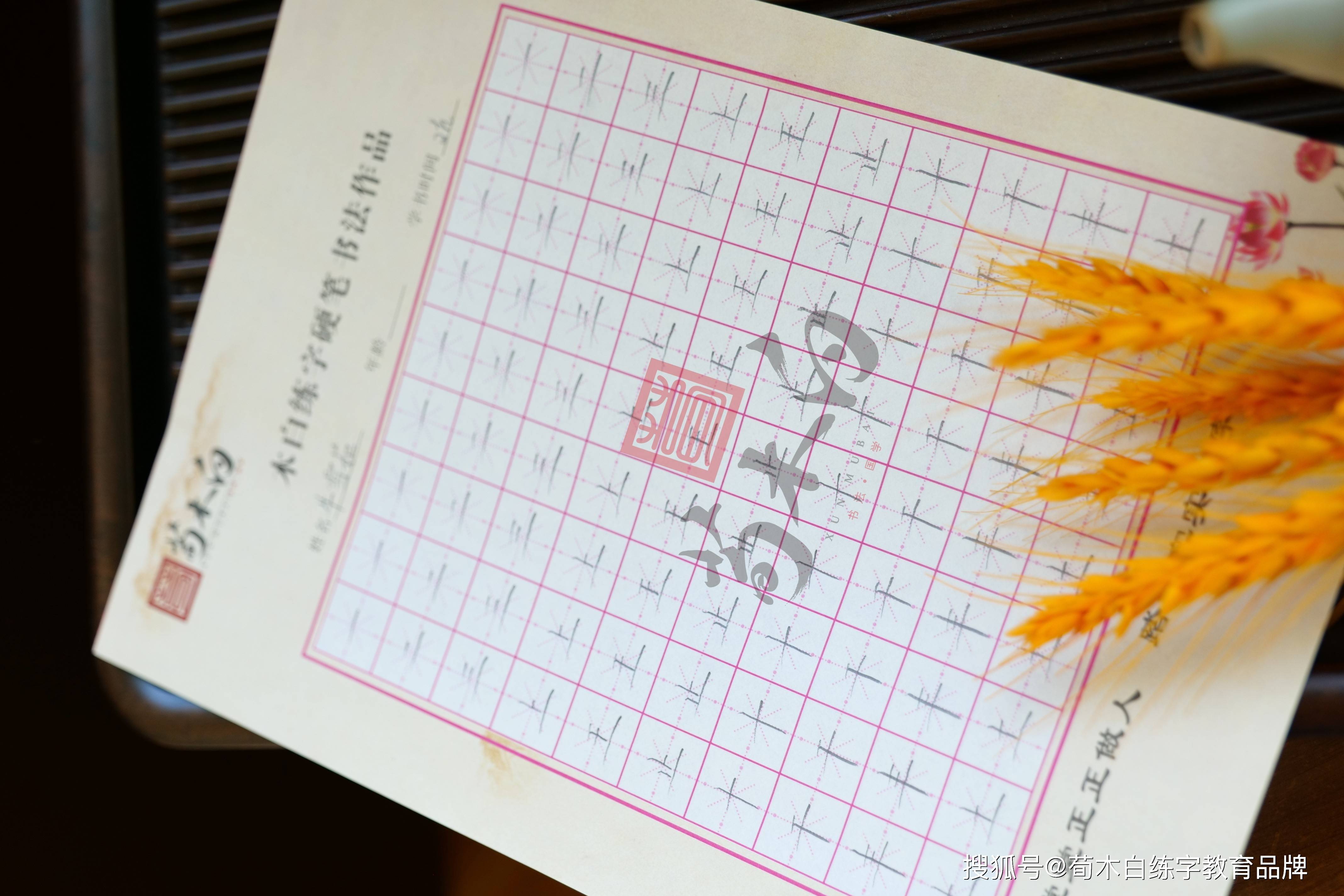 荀木白练字第62届师训会-搜狐大视野-搜狐新闻