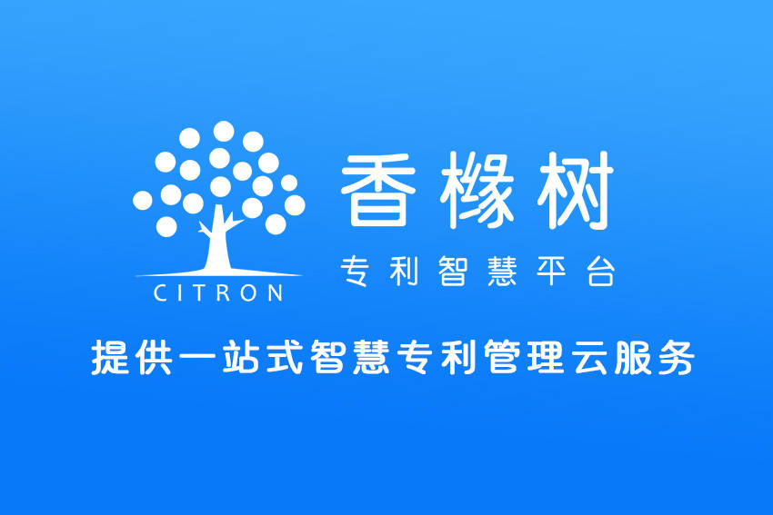 什么是专利申请号,专利号,公开号?_数字_部分_公告