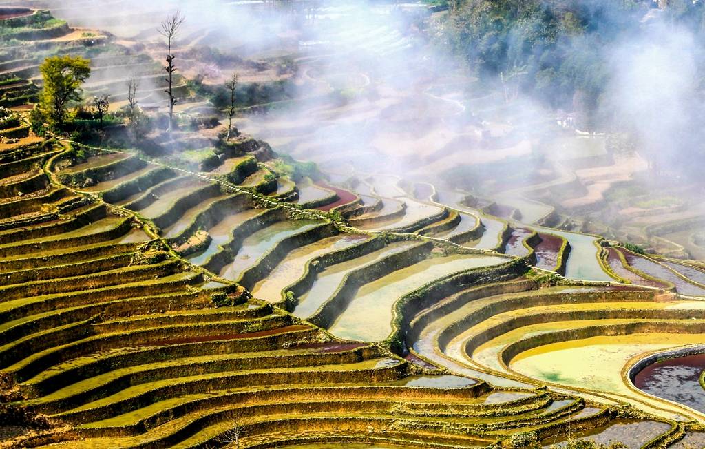 元阳梯田的旖旎风光_生活_发展_休闲