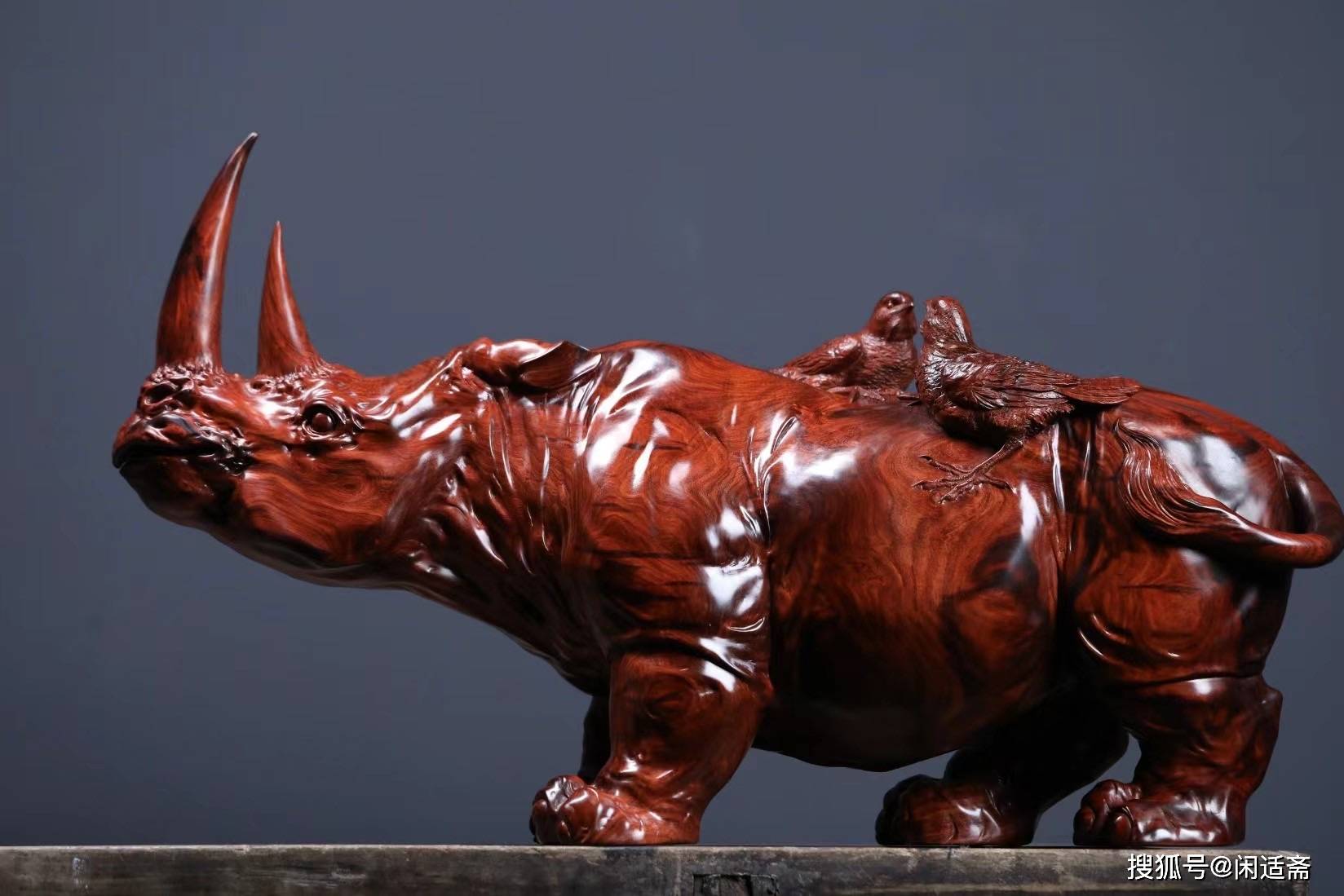 犀牛摆件和生肖运势(犀牛摆件摆放在家里哪)