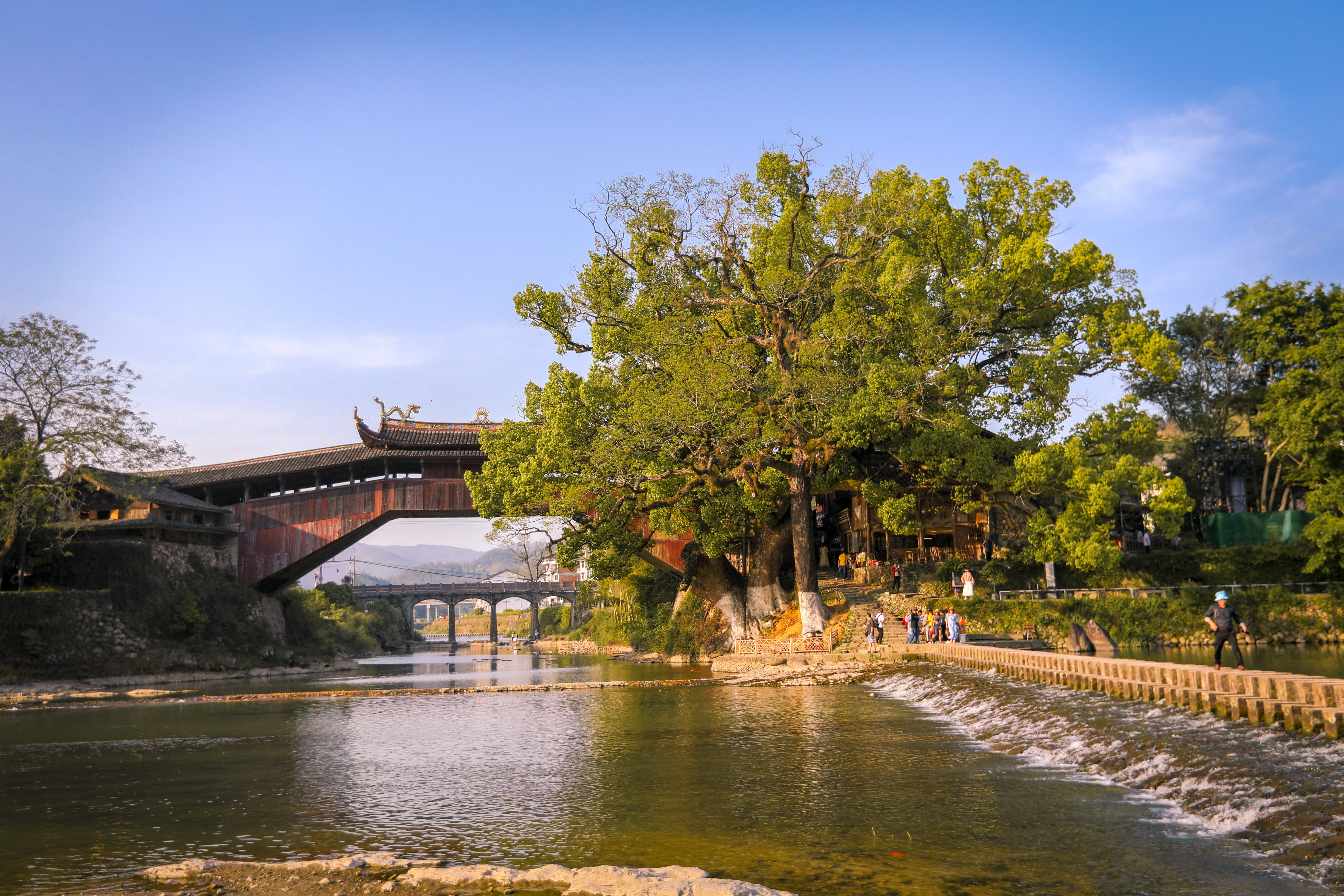 4天3晚寻梦廊桥,氡泉养生之旅_泰顺县_北涧_day