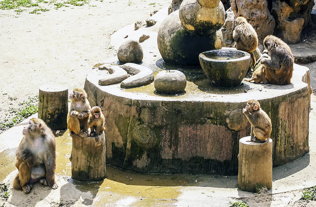 赭山动物园图片