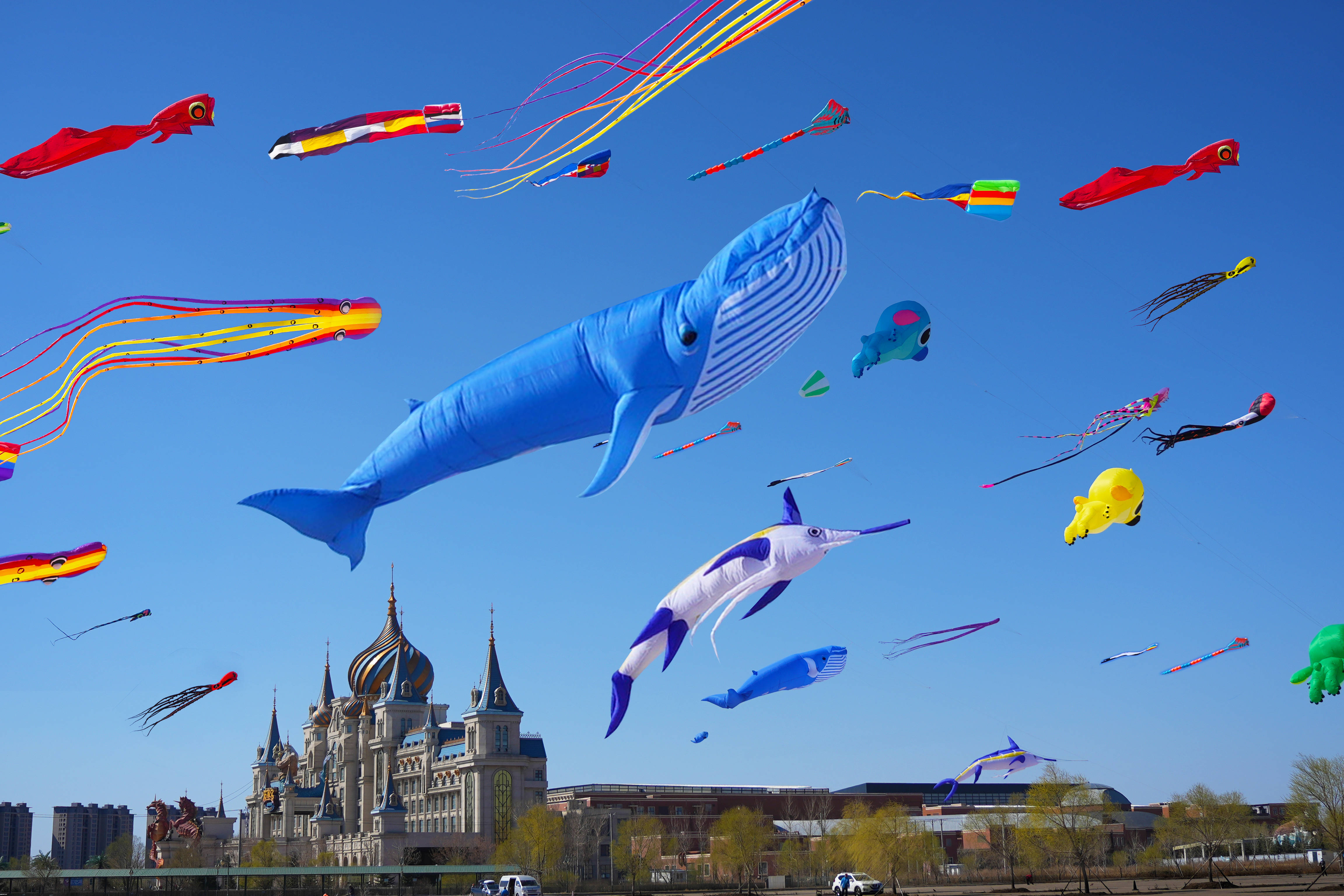 灵动的海豚,拖长触须的水母,五颜六色小丑鱼等"海洋动物"飞在空中