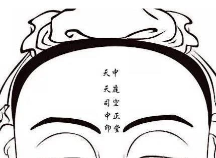 如果一个人的下巴饱满而且十分圆润,就可以称之为"地阁方圆".