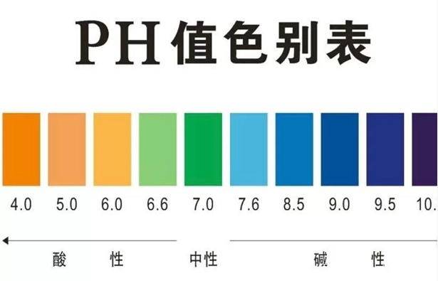 ph比色板图片