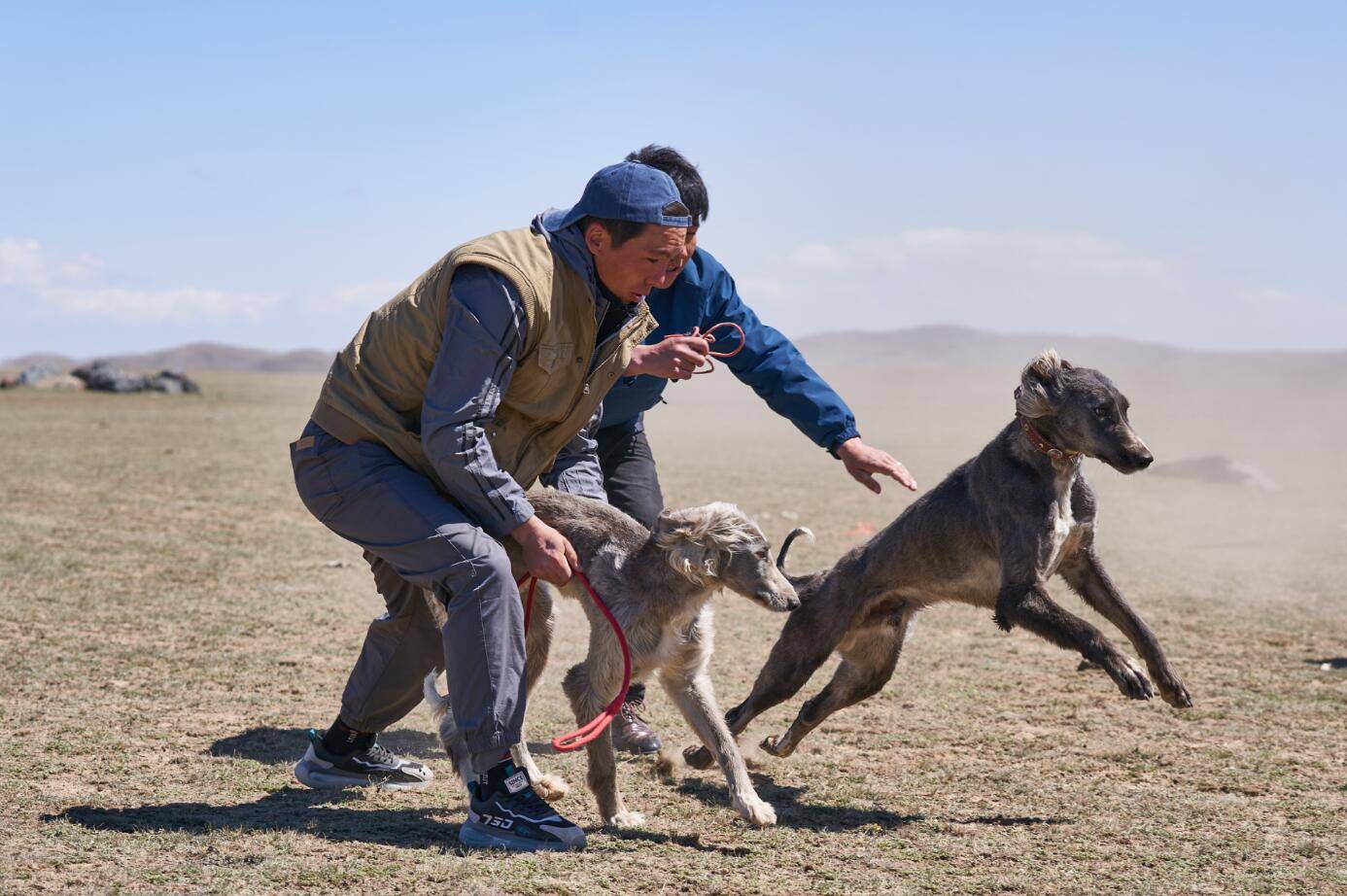 移民管理警察护航塔兹犬速度赛_塔城_沙孜_新疆
