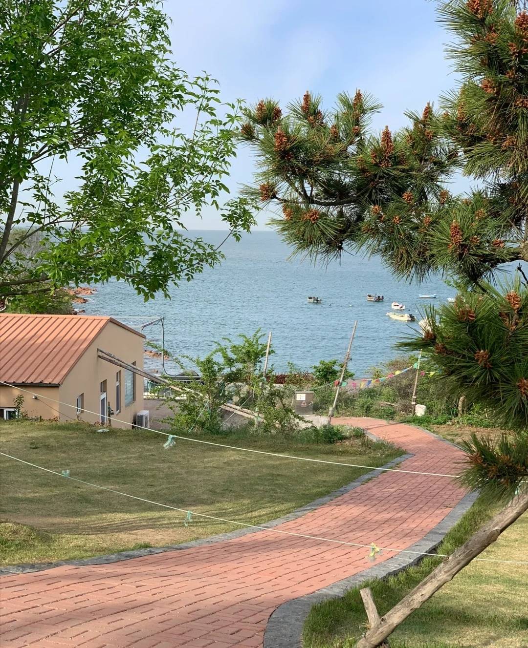 终于知道为什么那么多人去小麦岛了～_大麦岛_青岛_海水