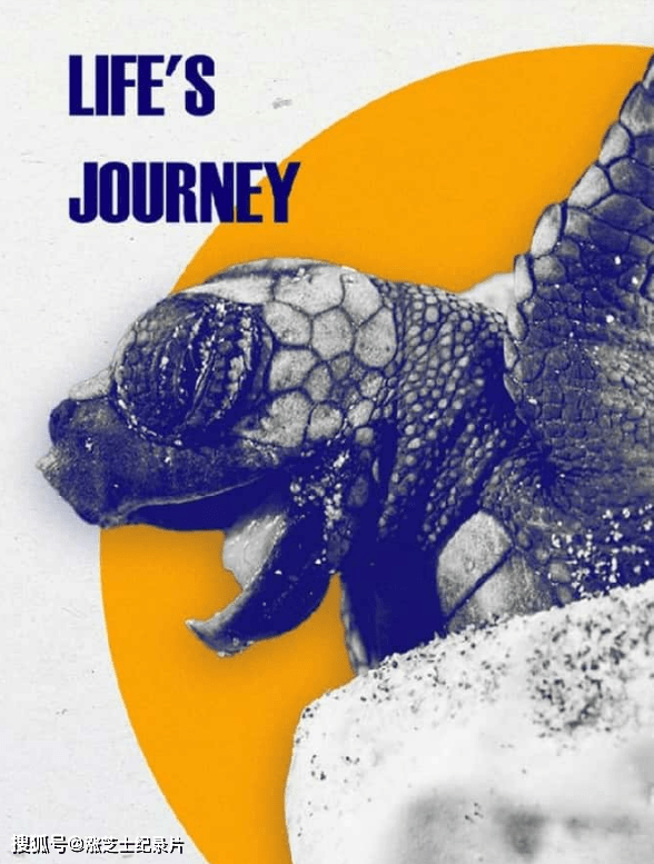 9179-加拿大纪录片《生命历程 Lifes Journey 2017》全3集 英语中英双字 官方纯净版 1080P/MKV/9.76G 非洲野生动物