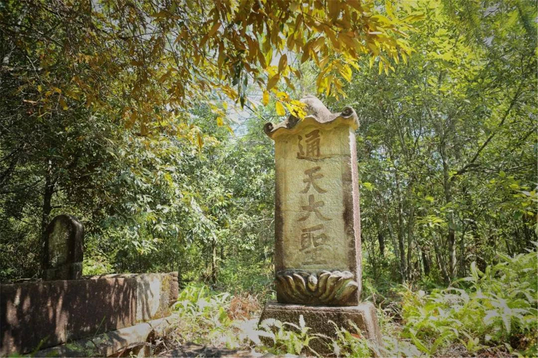 元"至正"通天大圣祭坛(来源:顺昌县文旅局)"双圣"墓,两通石碑分刻"