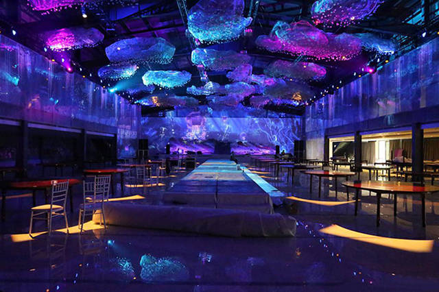 考拉数字推出全息宴会厅,感受炫酷5d投影梦幻视觉_娱乐_互动_客户