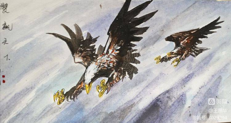 中国鹰王王照华《群鹰图》百幅联展_雄鹰_苍鹰_翅膀