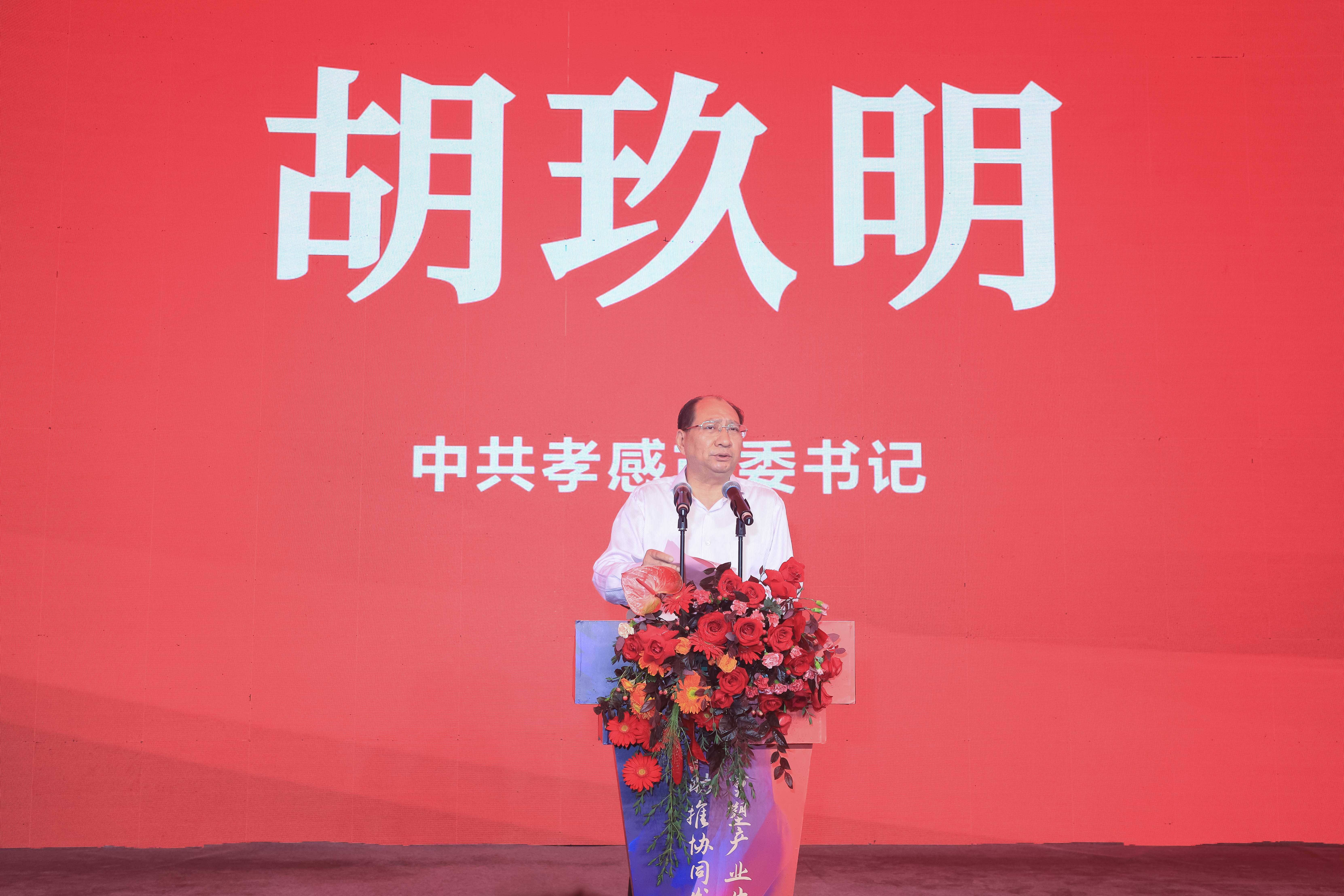 中共孝感市委书记胡玖明做总结发言做到三个"全力以赴:全力以赴推进