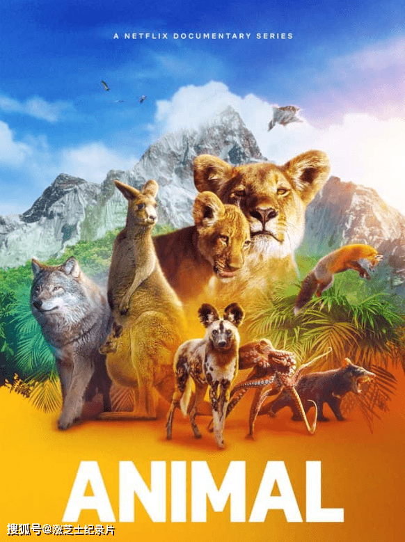 9304-Netflix纪录片《动物本色 Animal 2022》第二季全4集 英语多国中字 4K超清/2160P/MP4/23.7G 另人惊叹的生物