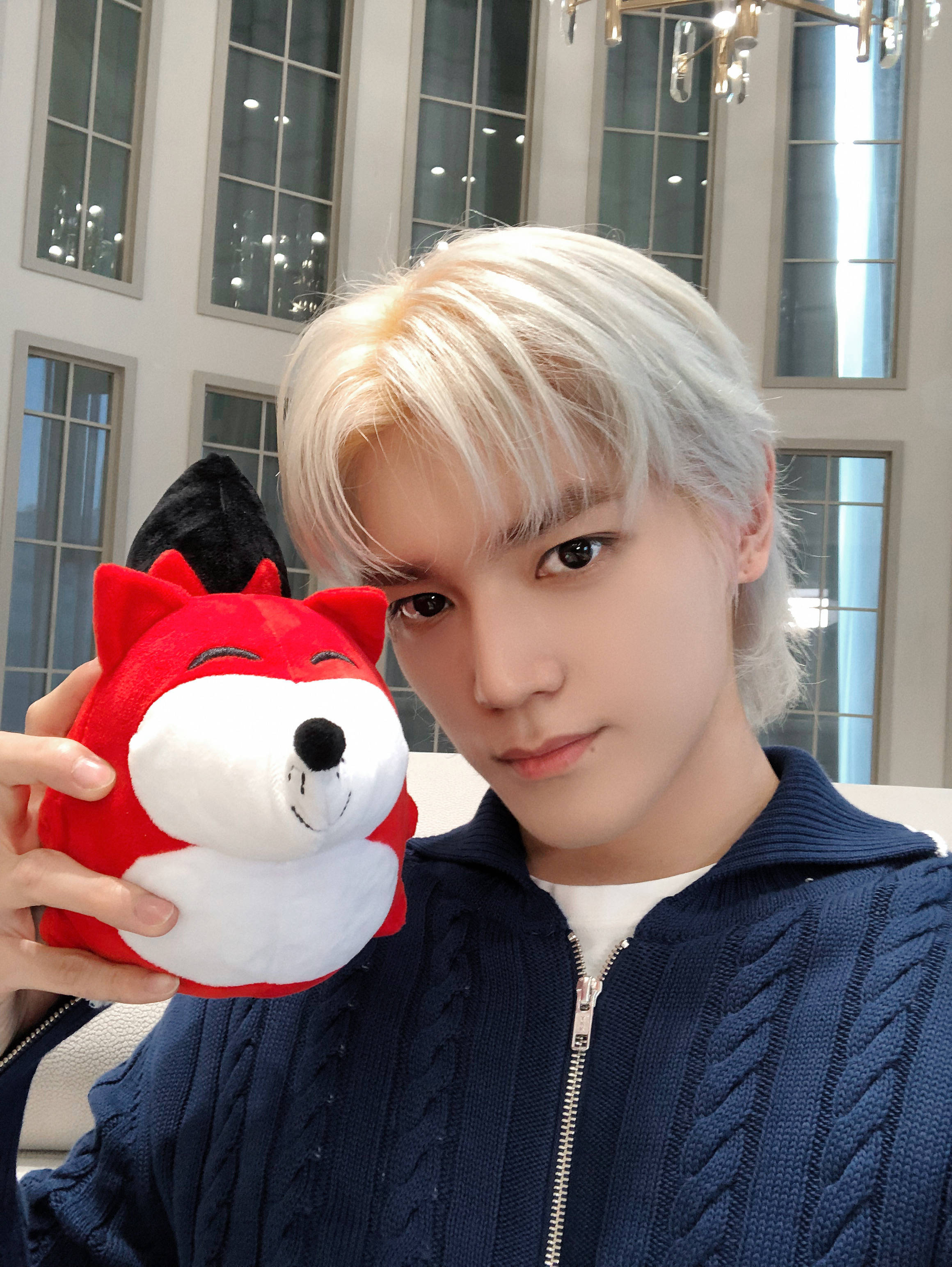 专访李泰容:四川方言出神入化 饭团绒捏豆包手势舞_造型_世界_大熊猫