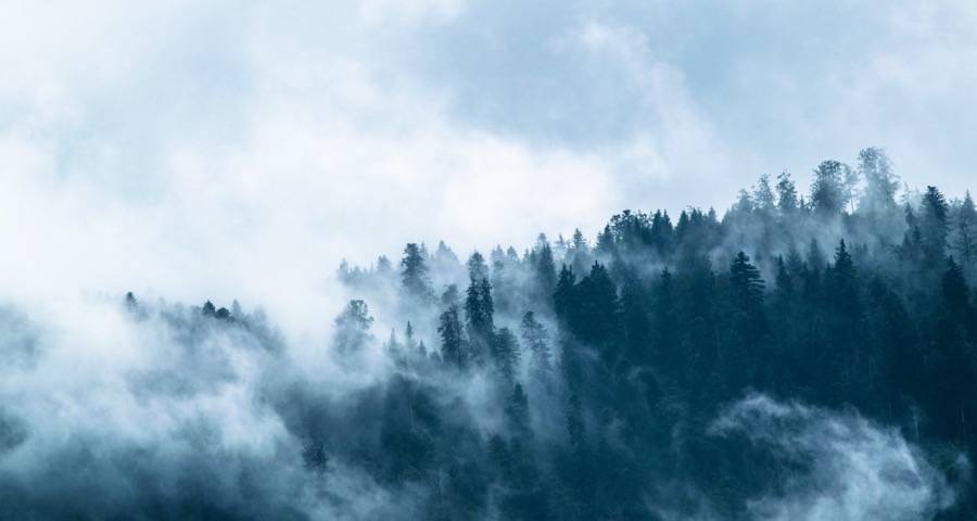 四部门再出手多层次提振家电消费-家电圈官网