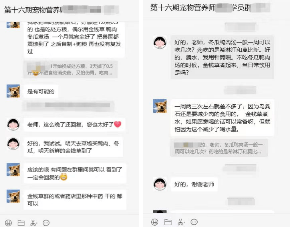 喜讯！宠物营养师培训班第十六期取得”