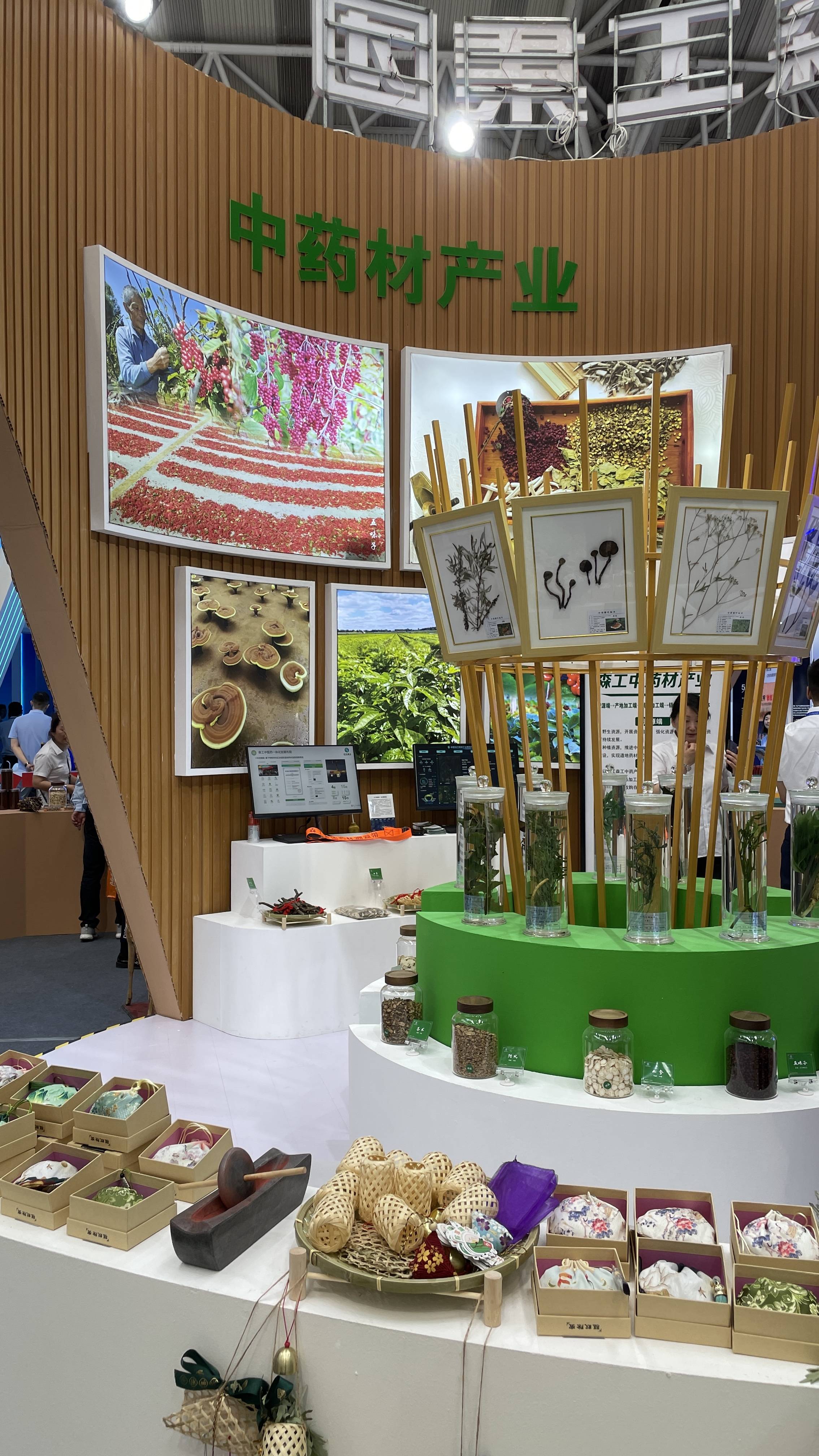 森林之美 看我森工 龙江森工集团参展第三十二届哈洽会
