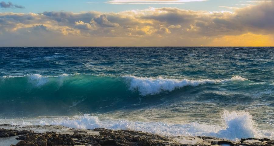 当个个都在卖家电时到底又害了谁？-家电圈官网