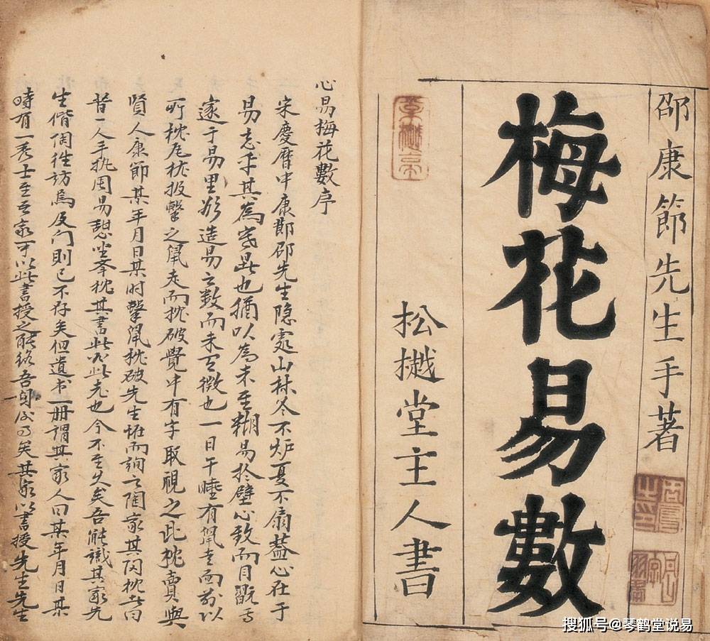 梅花易数》观梅占心易详解_口舌_少女_女子