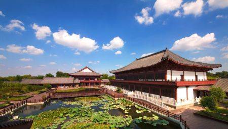 她在好德国学院以儒家文化为核心,与曲阜国学院,孔子学院,儒源教育