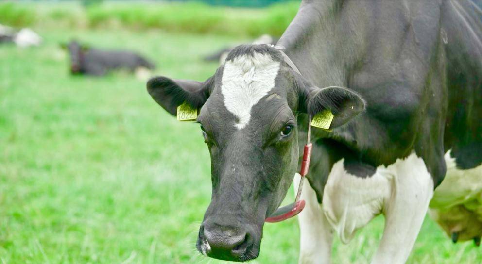 进口奶粉价格排行榜_原装进口奶粉排行榜揭晓,能立多引领消费新潮流(2)