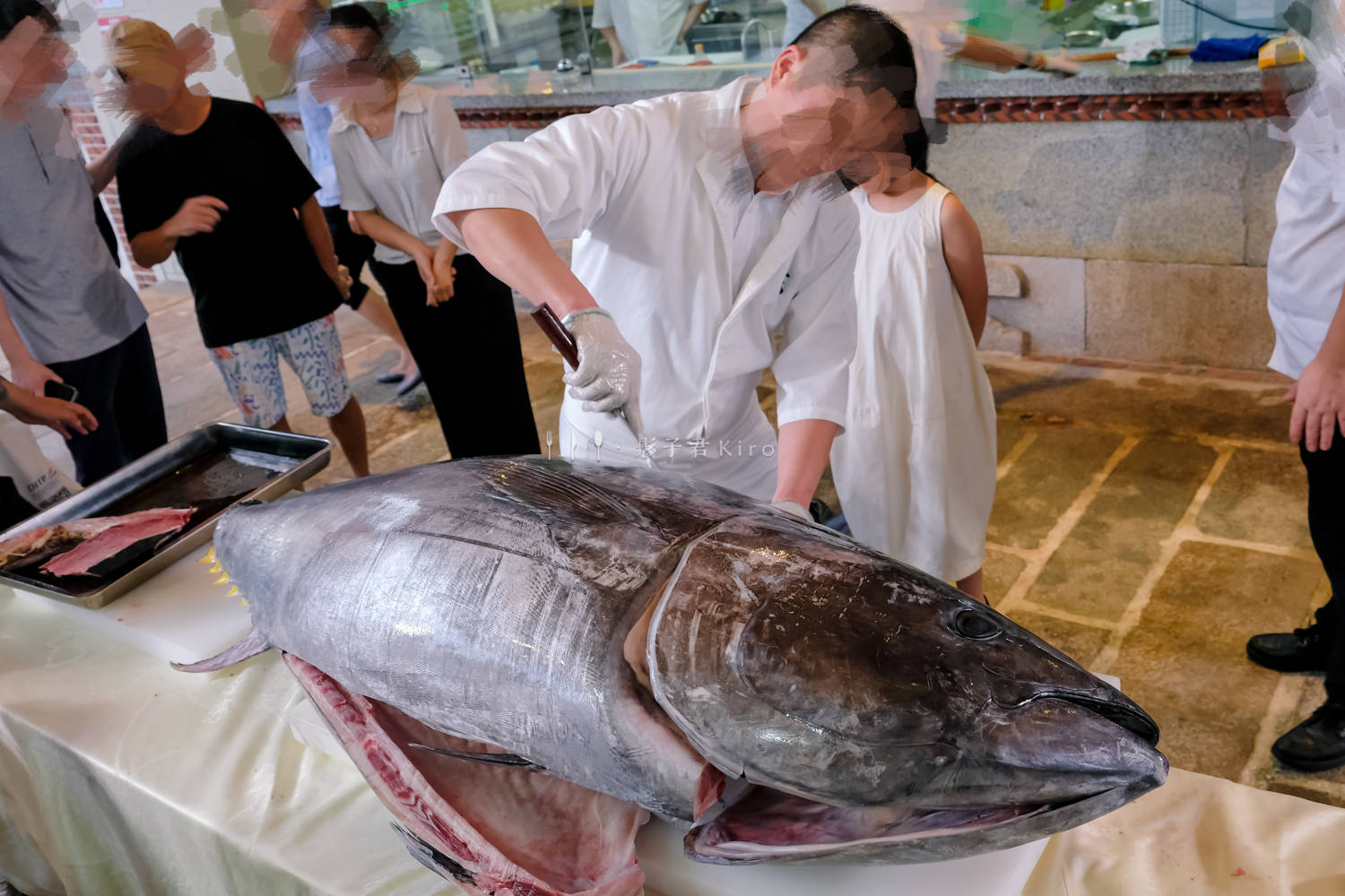 廈門同安也有藍鰭金槍魚現場開魚秀了,最新鮮的第一口金槍魚肉_口感