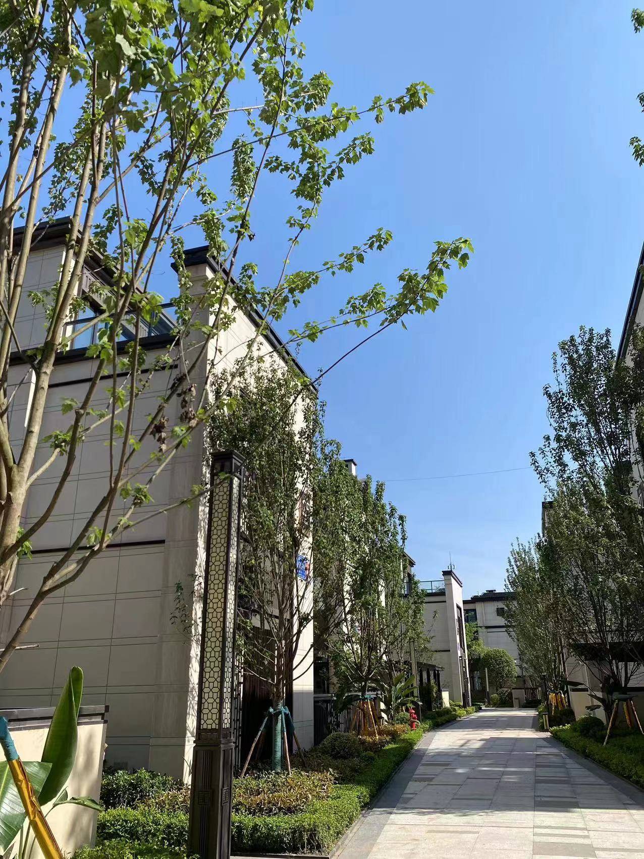 金隅金成府--高新区现房合院联排,多种产品任您选择!_服务_医疗_项目