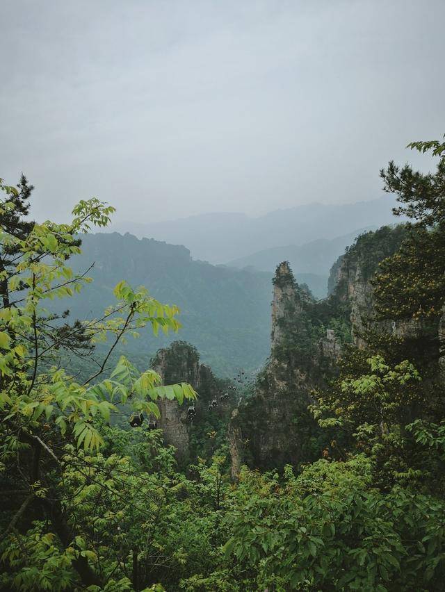 三,探访乐山市五通桥区多宝寺
