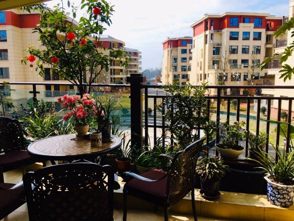 青城山避暑康养现房【青城颐养中心】最全解析 环境好不好 价格 售楼