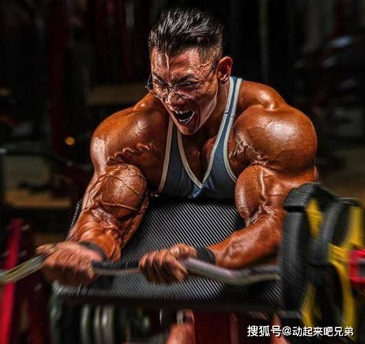 分享肌肉巨兽鹿晨辉的独家健身方法!_健美_比赛_训练