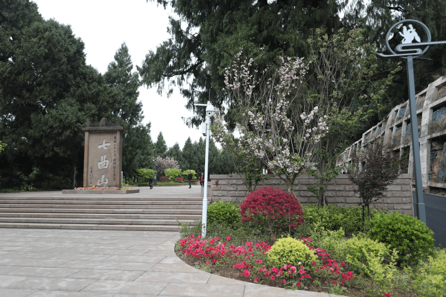 七曲山风景区拥有全国最大的纯古柏林,共有古柏2万余株,是国家级森林