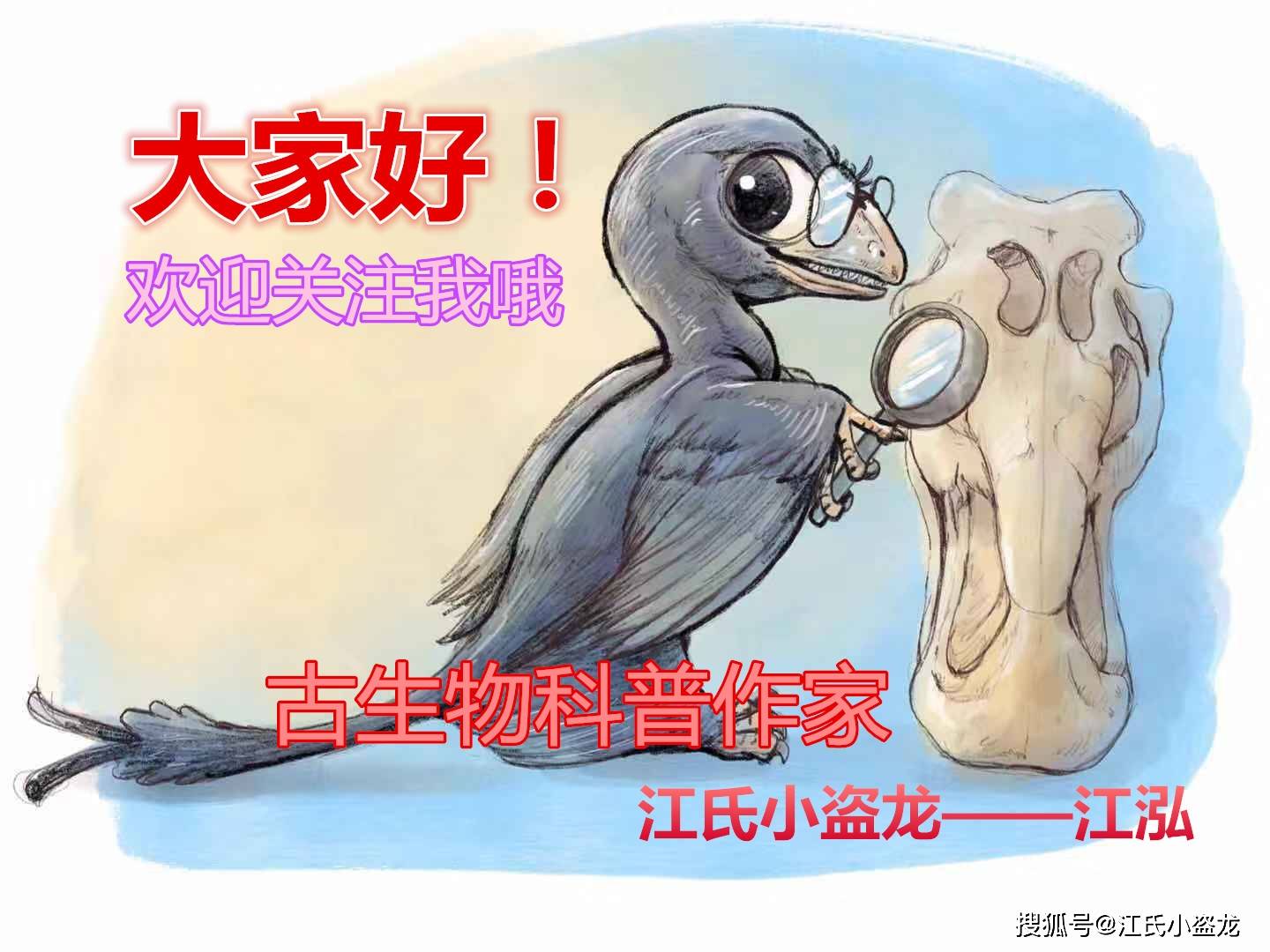 【史前巨獸】黃河象到底是何方神聖?_劍齒象_師氏_大象