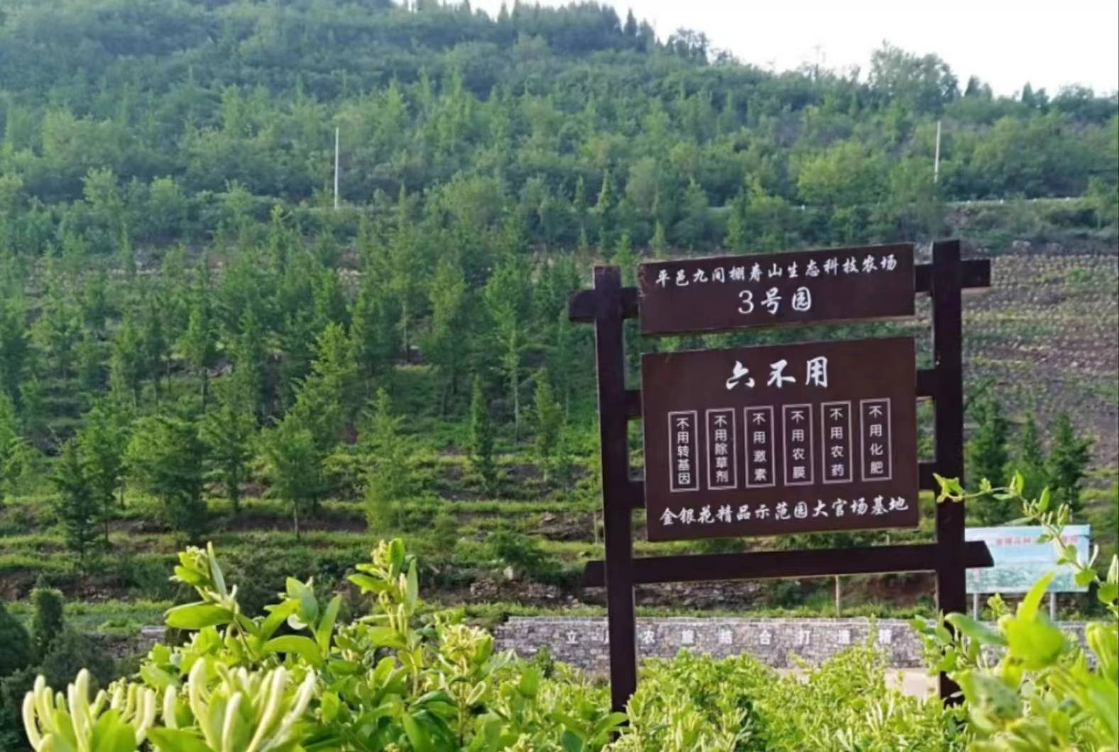 海大学子三下乡——走进脱贫致富模范村之平邑九间棚_发展_实践团