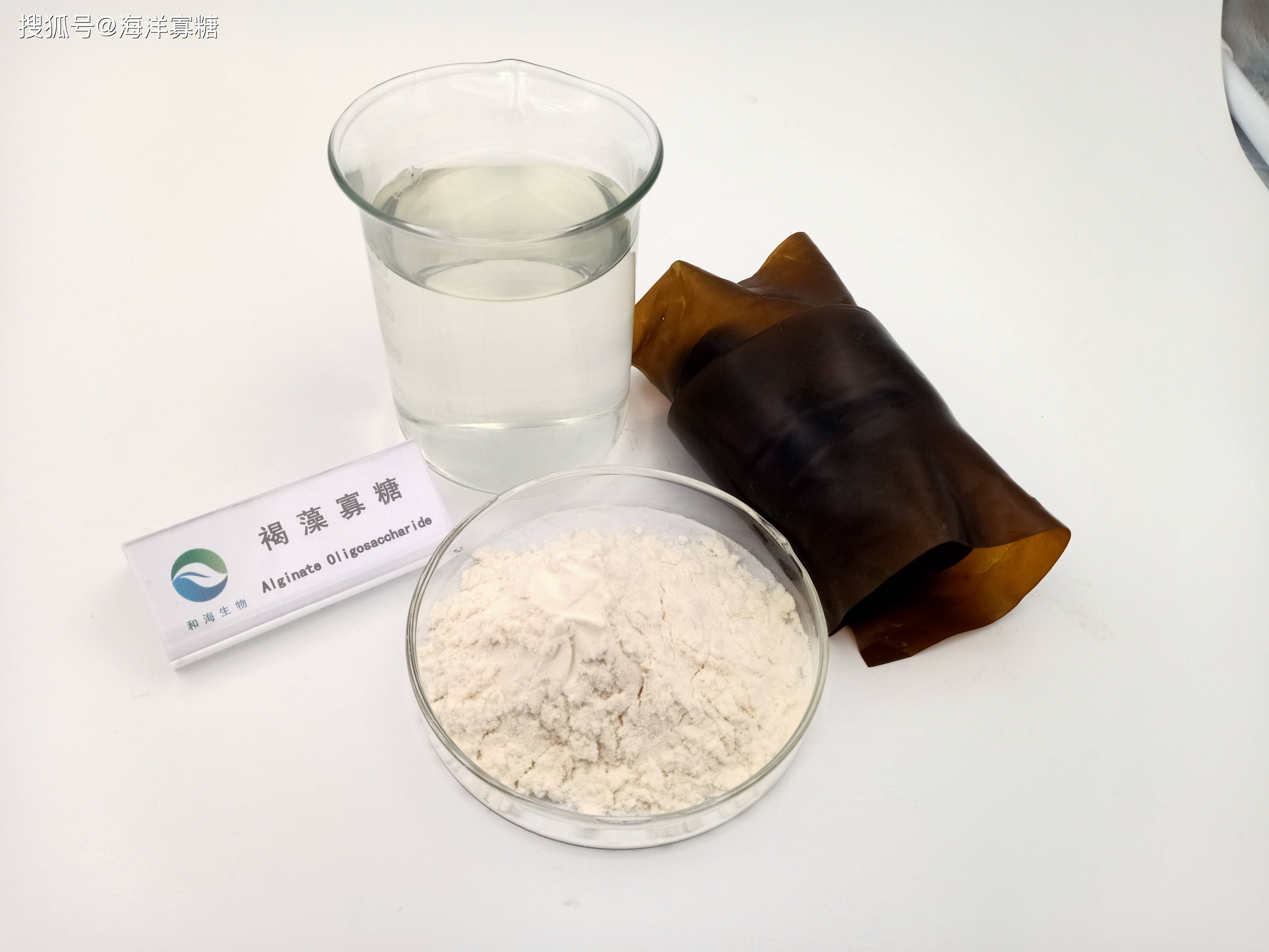 古罗糖醛酸---g型褐藻胶简介