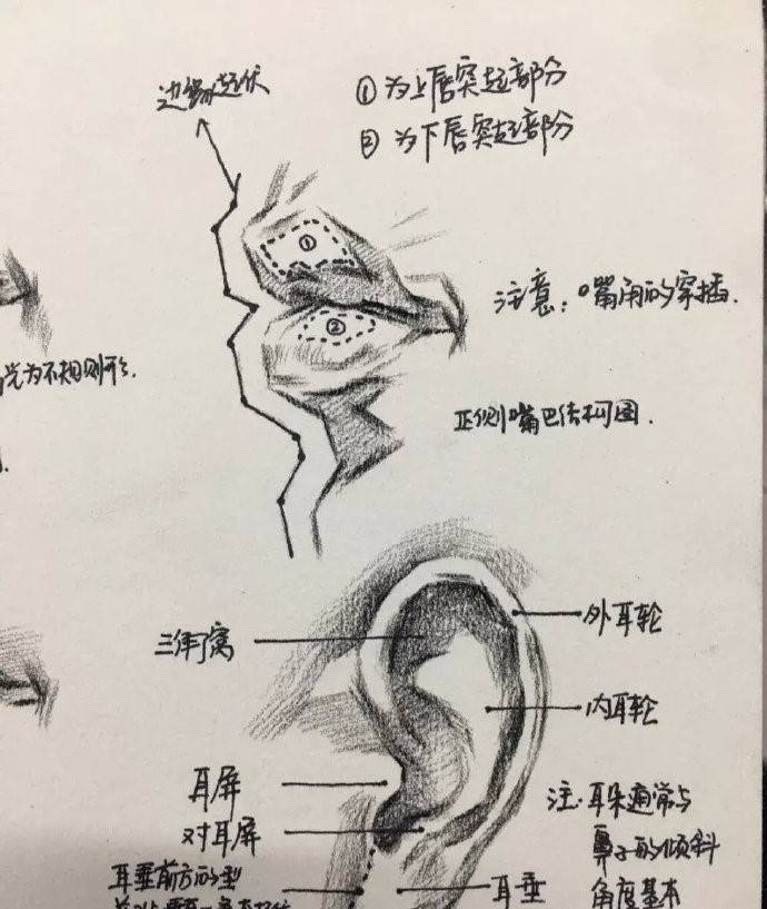 五官终极详解~ -搜狐大视野-搜狐新闻