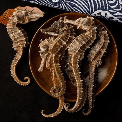 中药材海马进口清关所需资料及流程介绍【清关知识】干货!