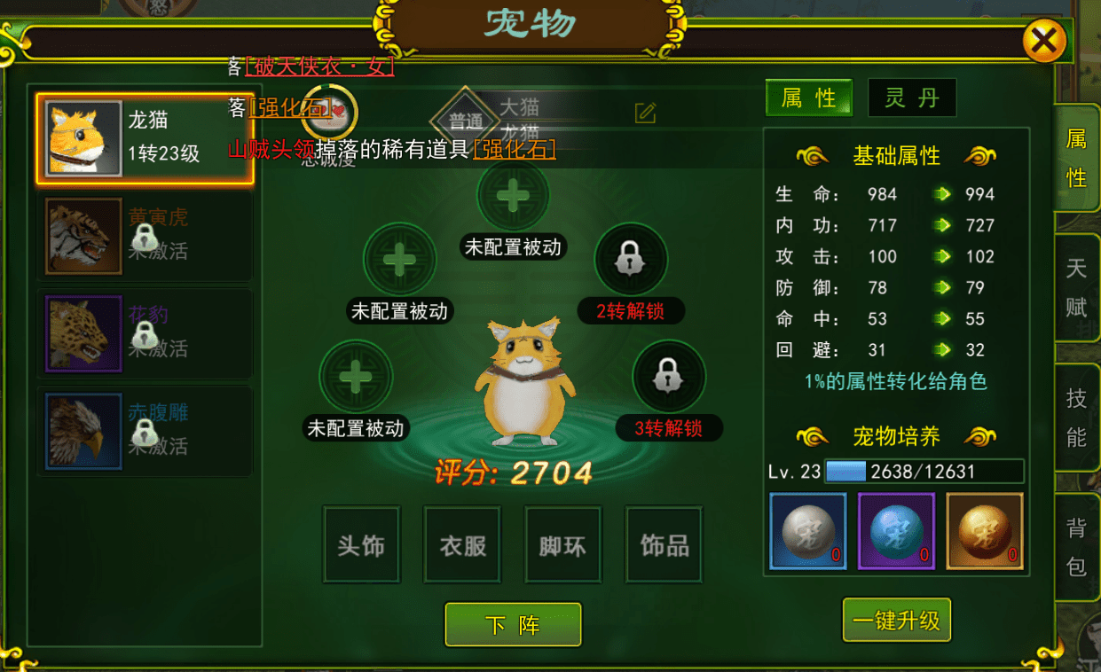 热血江湖:新手宠物篇_装备_技能_龙猫