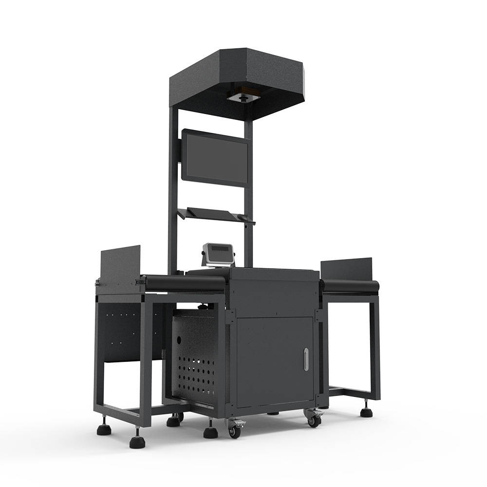 静态dws gs210p一分四分拣设备