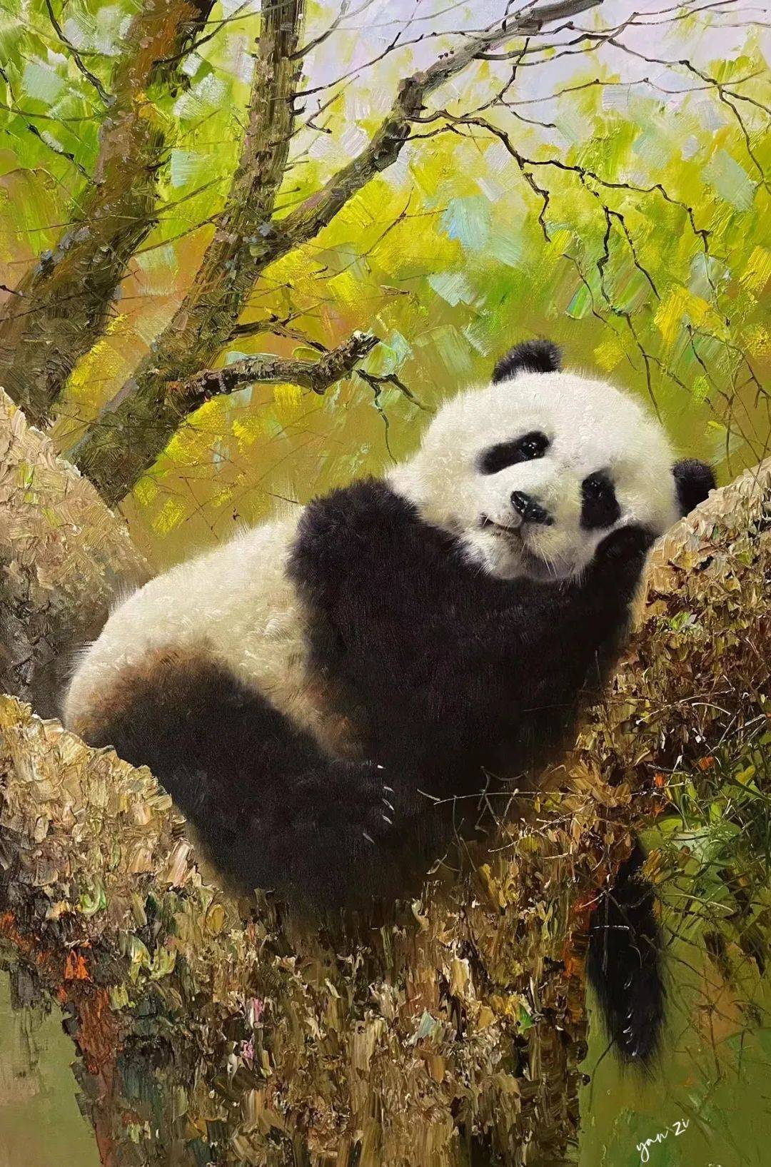名家作品|我用画笔述熊猫——油画家晏子作品欣赏_布面_佛坪_秦岭