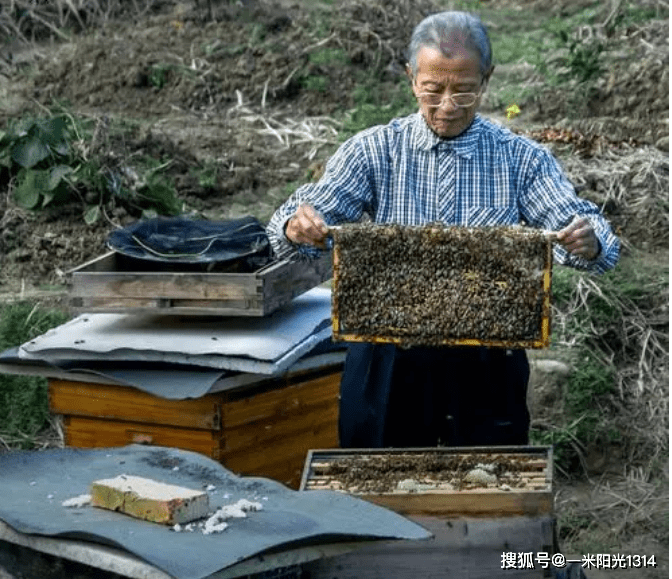 这样也行？（怎么鉴别假验孕棒）验孕棒假阴性是什么意思 第2张