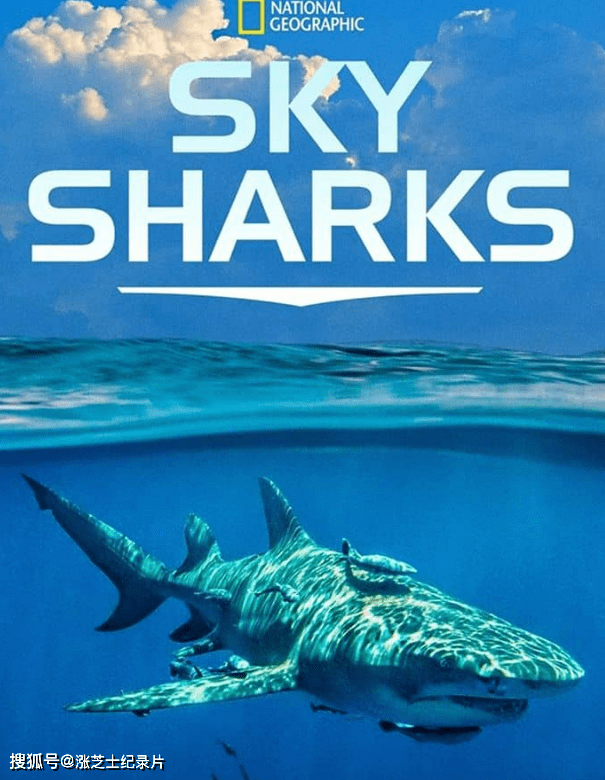 9757-国家地理《鸟瞰鲨鱼 Sky Sharks 2022》英语多国中字 官方纯净版 1080P/MKV/2.6G 空中看鲨鱼