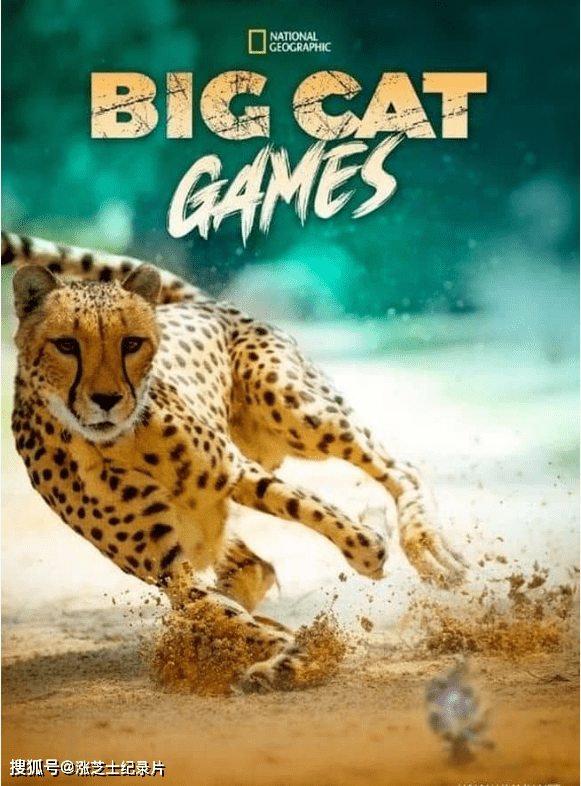 9935-国家地理《大猫竞技 Big Cat Games 2015》英语多国中字 官方纯净版 1080P/MKV/2.68G 猫科动物