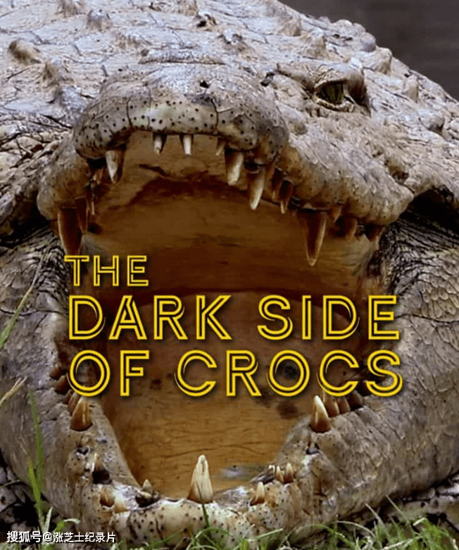 10076-国家地理《鳄鱼的阴暗面 Dark Side of Crocs 2022》英语中英双字 官方纯净版 1080P/MKV/7.71G 尼罗河鳄鱼