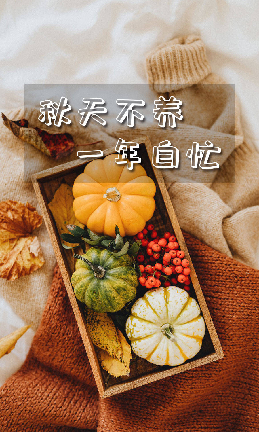 秋天不养,一年白忙, 这份秋季进补指南强烈建议收藏!_养生_心脏_大脑